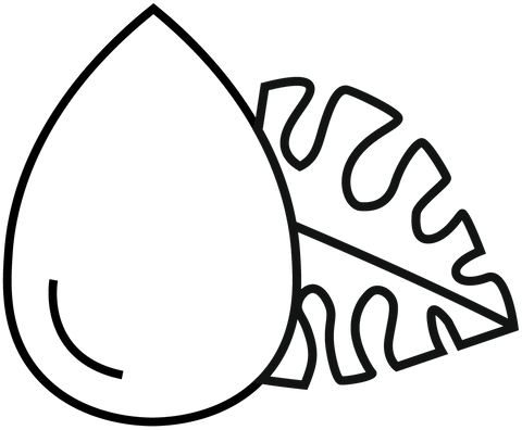 Sustainable Palm Oil