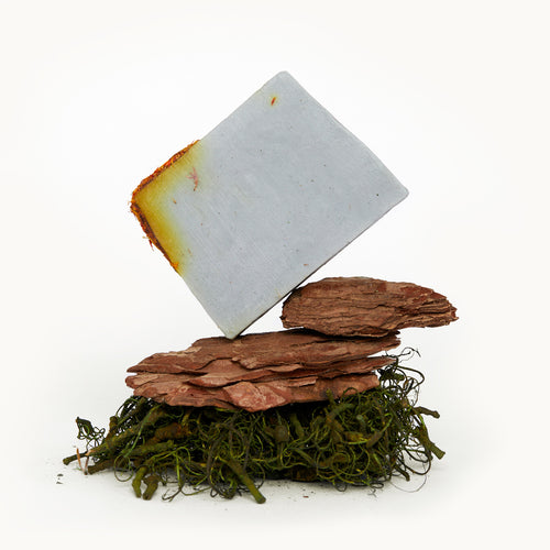 Sea Salt & Moss Natural Soap